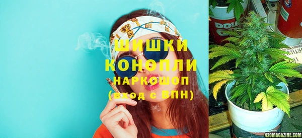 PSILOCYBIN Бородино